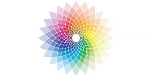 Colour theory strengthens your brand
